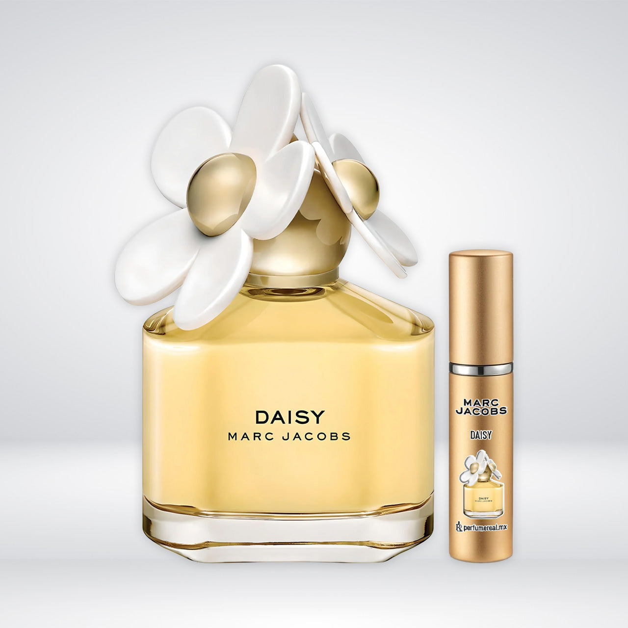 Daisy